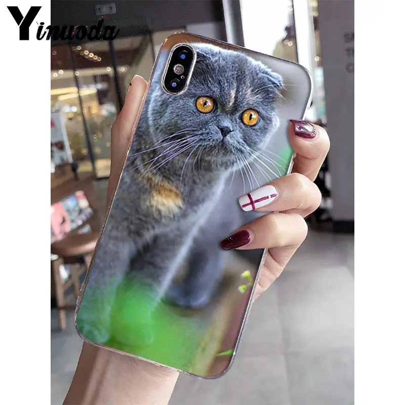 A3 Yinuoda Британский короткошерстный Кот поделка-чехол для телефона для iPhone 5 5Sx 6 7plus 8 8Plus X XS MAX XR Fundas Capa - Цвет: A3