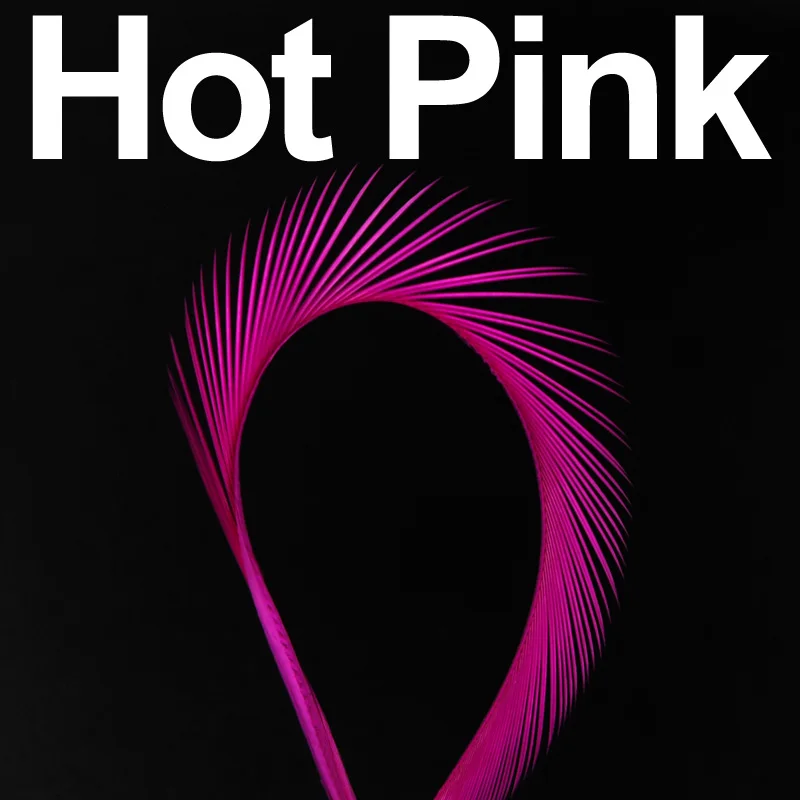 12pcs hot pink 12 шт. гусиный биос перо Beadhead Prince Nymph Tail крыло чехол Камень мухобойка Материал Черный Белый Коричневый Красный зеленый красный синий - Цвет: 12pcs hot pink