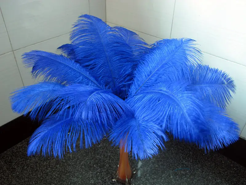 

Hot! Free shipping manufacturers selling 10 PCS blue ostrich feathers 20-22inches/50-55cm