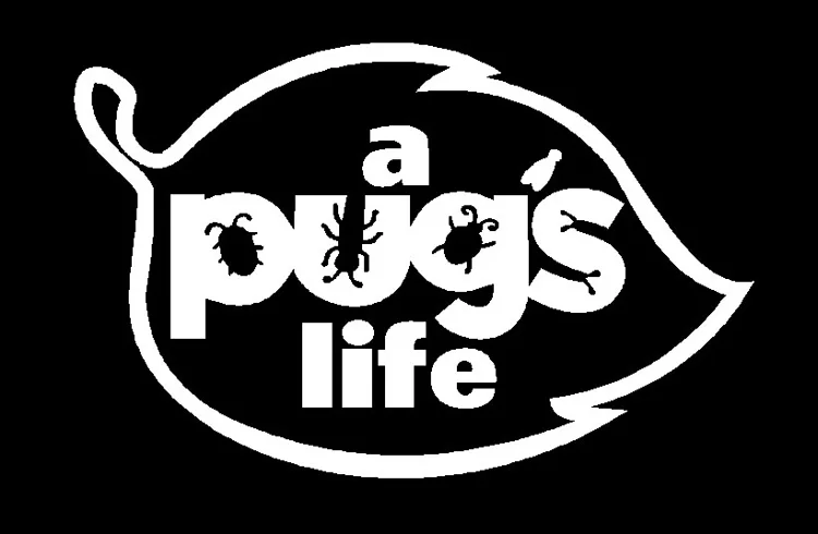 Светоотражающие наклейки A PUG'S LIFE 10*15 см персонализированные автомобильные