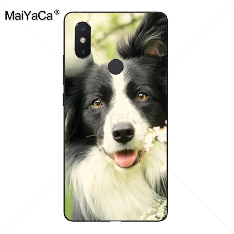 MaiYaCa милый чехол для телефона с изображением колли собаки новинка xiaomi mi 8se 6 note3 redmi