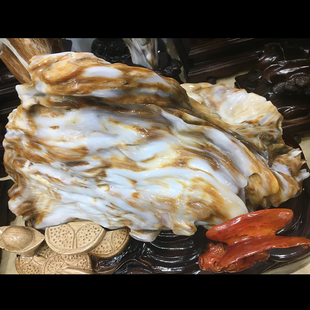 Большой Размеры! Натуральное дерево Fossil Jade фигурка дерево Fossil Jade образец минерала хрустальные камни украшение дома и деревянная подставка