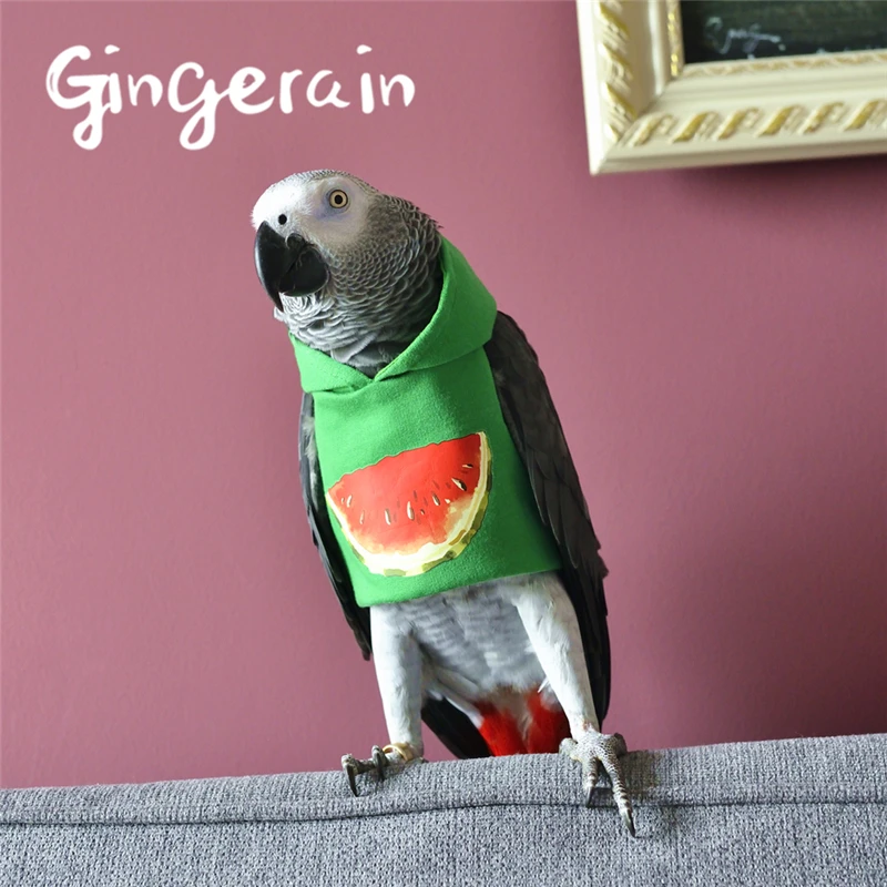 Gingerain одежда с птицами и попугаями оригинальная ручной работы свитер капюшоном