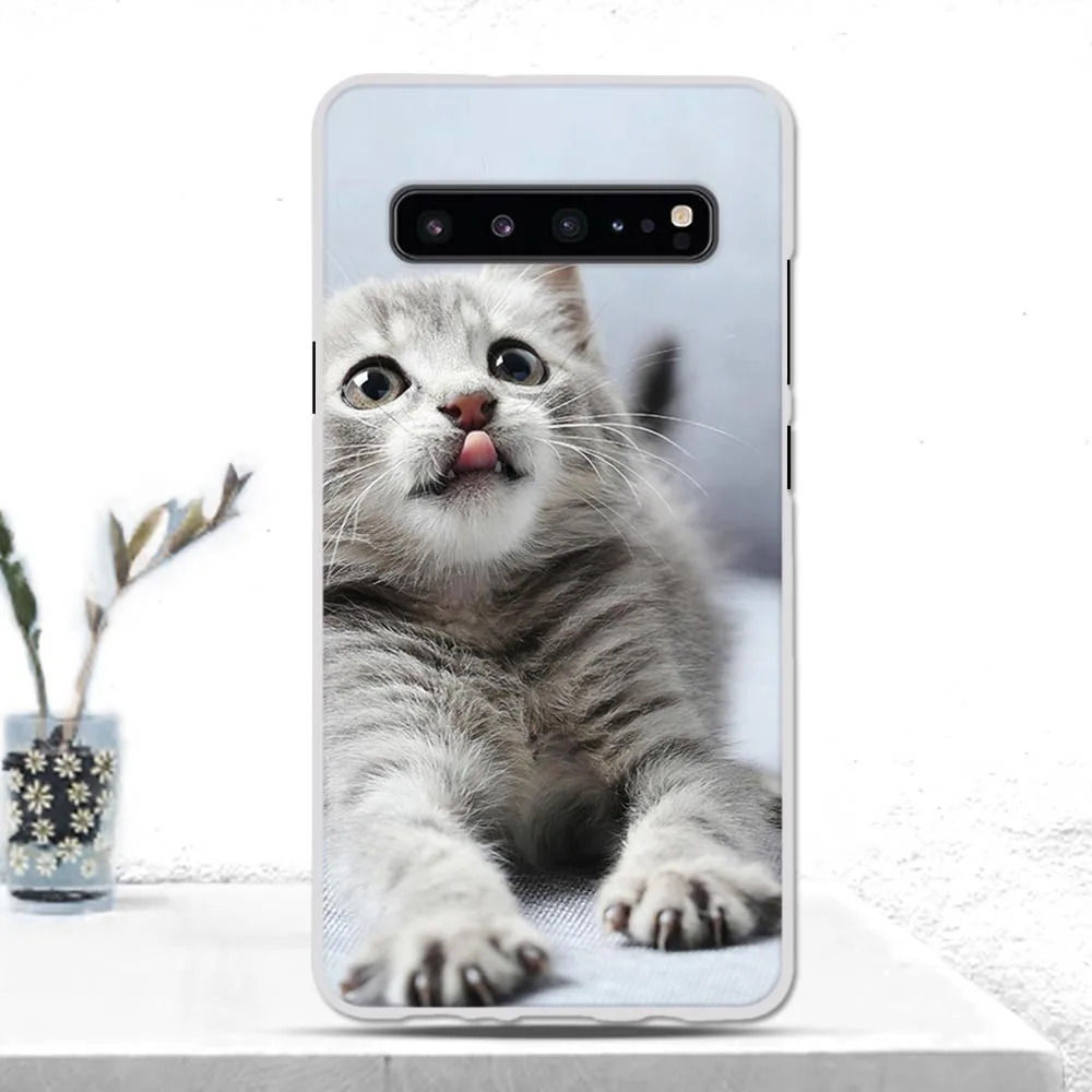 Case For Samsung Galaxy S10 (5G) Cover Luxury Soft TPU Silicone Phone Fundas SM-G977N Bag | Мобильные телефоны и
