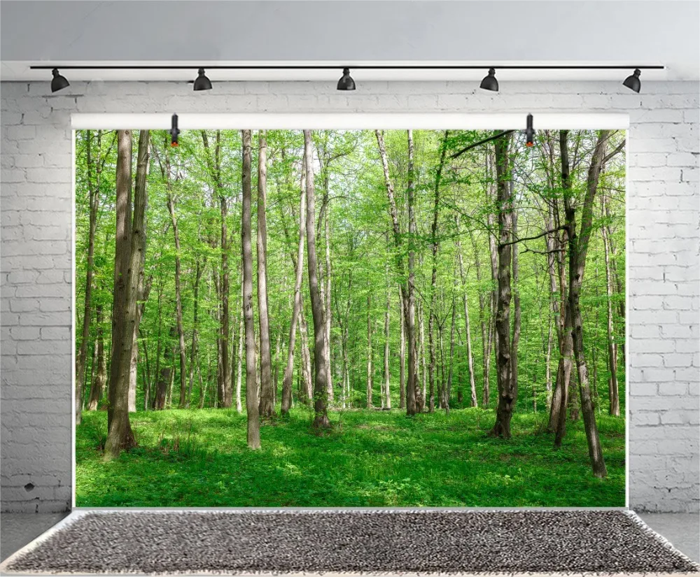 Laeacco Tree Forest Grass Sunshine Autumn Child Natural Scenic Photo Backdrops Photographic Backgrounds Photocall Studio | Электроника