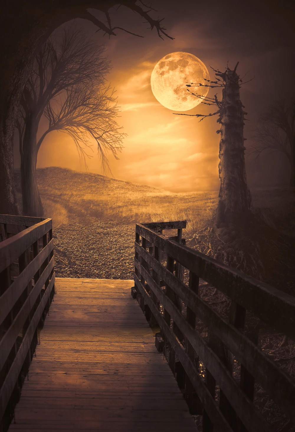 HUAYI Thin vinyl halloween bakcdrop Photography Background Photo studio party Decoration photo booth night moon Xt-5934 | Электроника