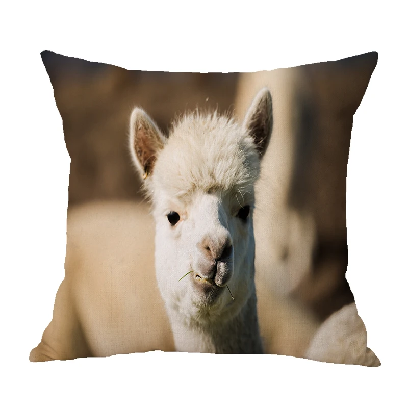 Animal Alpaca Наволочка на подушку овец Чехлы наволочка козья трава комнату декорация