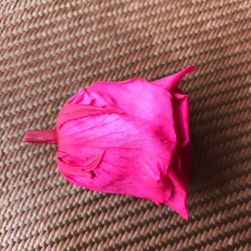 5 см природа свежий консервированный Роза голова в Fuschia Красавица и Чудовище
