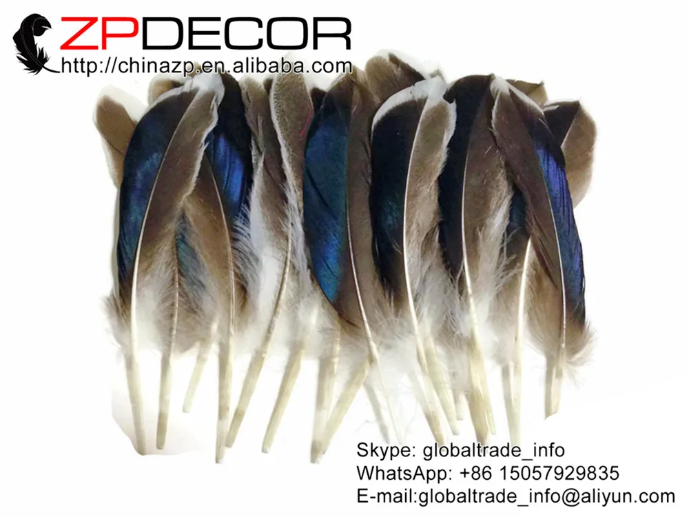 ZPDECOR 10-15 см 100 шт./лот красивый узор Радужный синий микс Кряква утка крыло оптовая