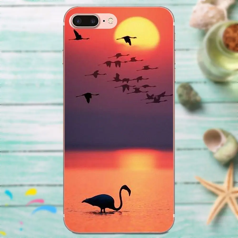 Фламинго Мир животных природа птицы для Galaxy A3 A5 A7 On5 On7 2015 2016 2017 Grand Alpha G850 Core2 Prime S2
