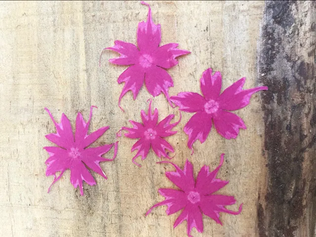 Бесплатная доставка розы красные прессованные цветы сушеные натуральные