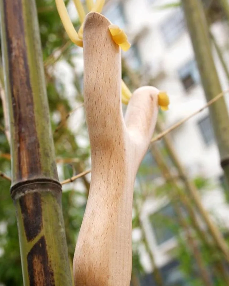 Быстрая и безопасная транспортировка для мощной фотовспышки катапульта с