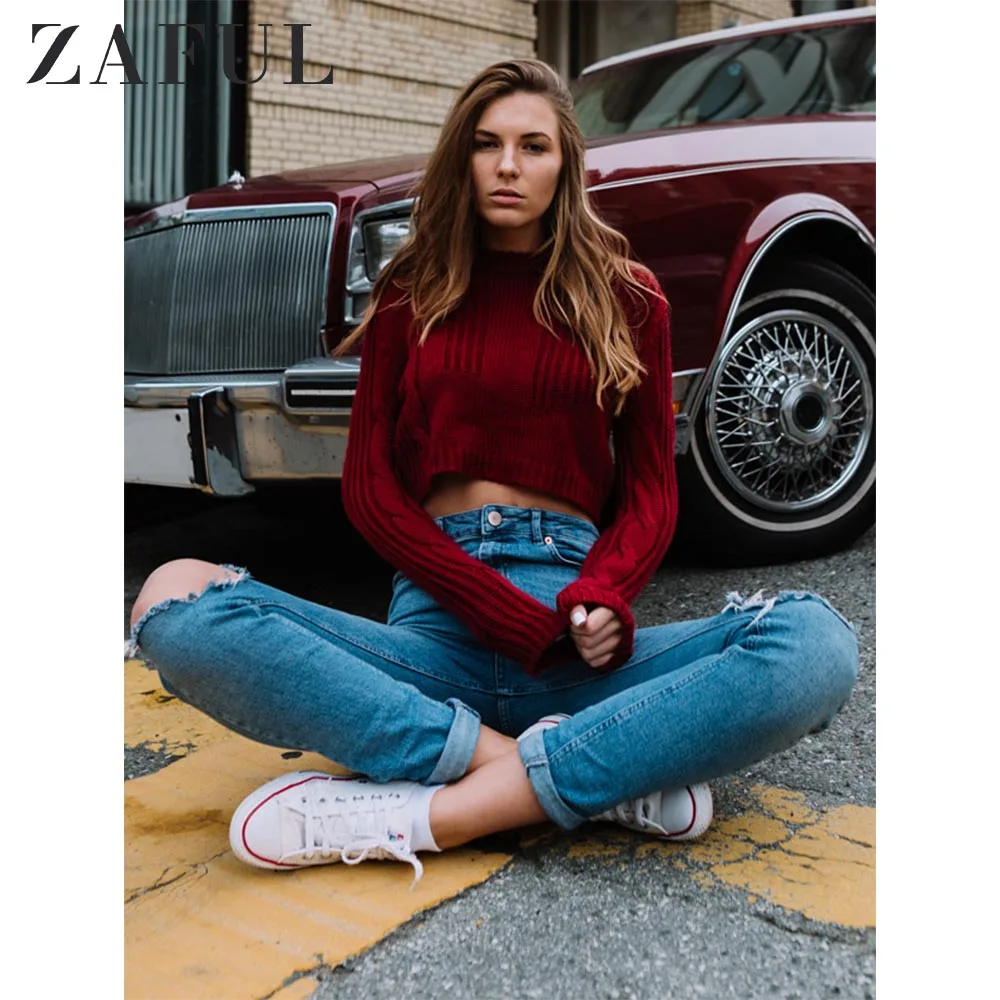 ZAFUL Вязаный Свитер O Шеи С Длинным Рукавом Конфеты Цвет Панели Растениеводство