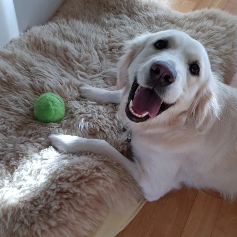 Новая модная практичная Волшебная плойка мяч игрушка нетоксичный безопасный