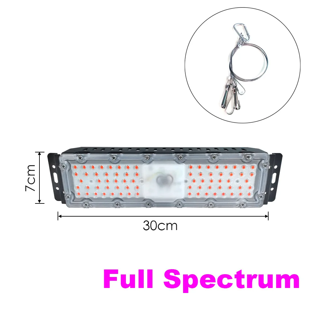 Led smd 30 Вт лампа для роста чип AC220V вход полный спектр Бисер для растений овощи фрукты растение светильник - Испускаемый цвет: 30W full spectrum