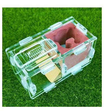 Мини-штукатурка Муравьиное гнездо 2 комнаты искусственный дом Москитная клетка