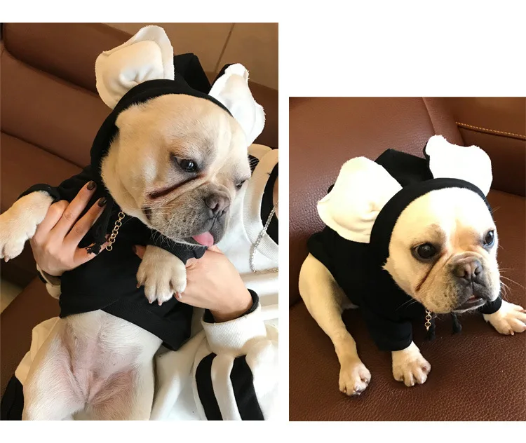 Bigeyedog собачья одежда Осенняя и весенняя одежда для домашних питомцев пудель, йоркширский терьер Мопс французская одежда для бульдога пальто толстовка одежда для домашних животных