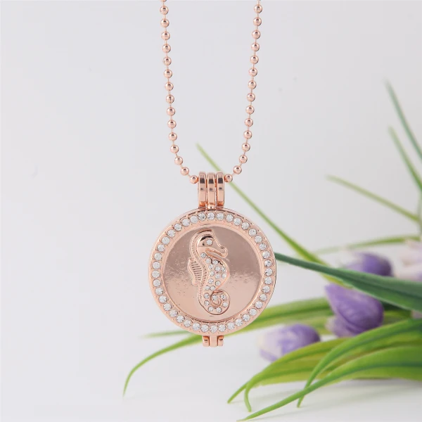 Морской конек монет подвеска Neckalce настоящее позолоченные 33 мм большой диск