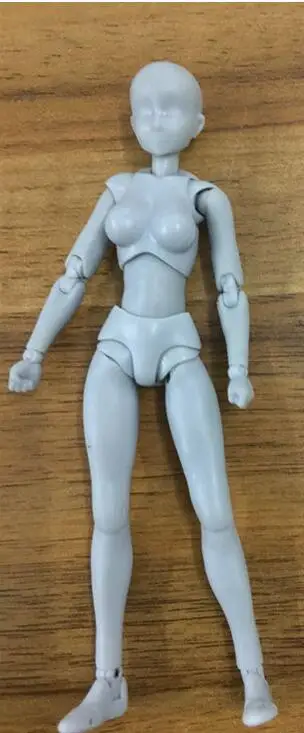 Медицинские науки человека модель серый женский тела активных суставов со стент