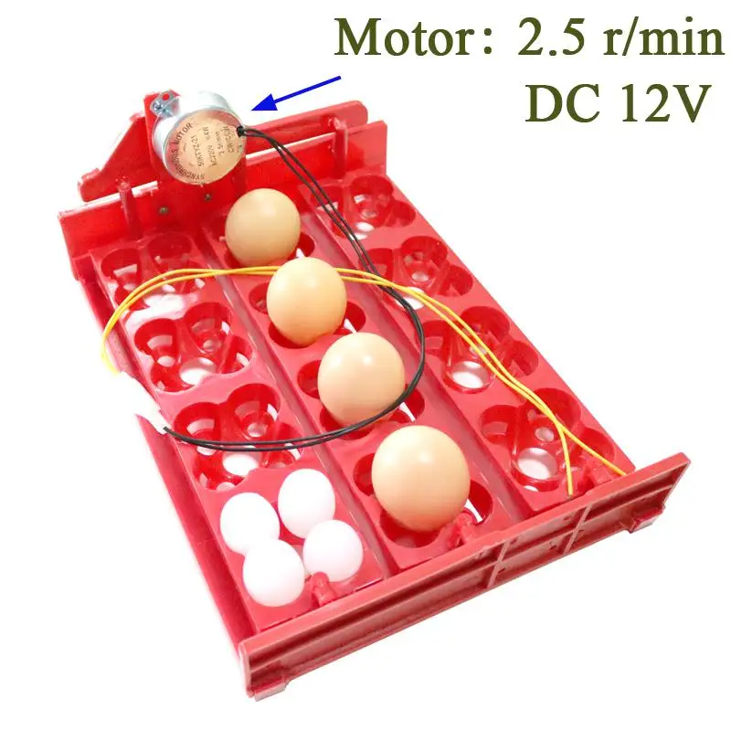 DC12V 12 яиц/48 яиц птицы инкубатор поворот яиц лоток 220 В/110 В/12 В курица птица автоматический инкубатор птицы инкубатор оборудование - Цвет: DC12V