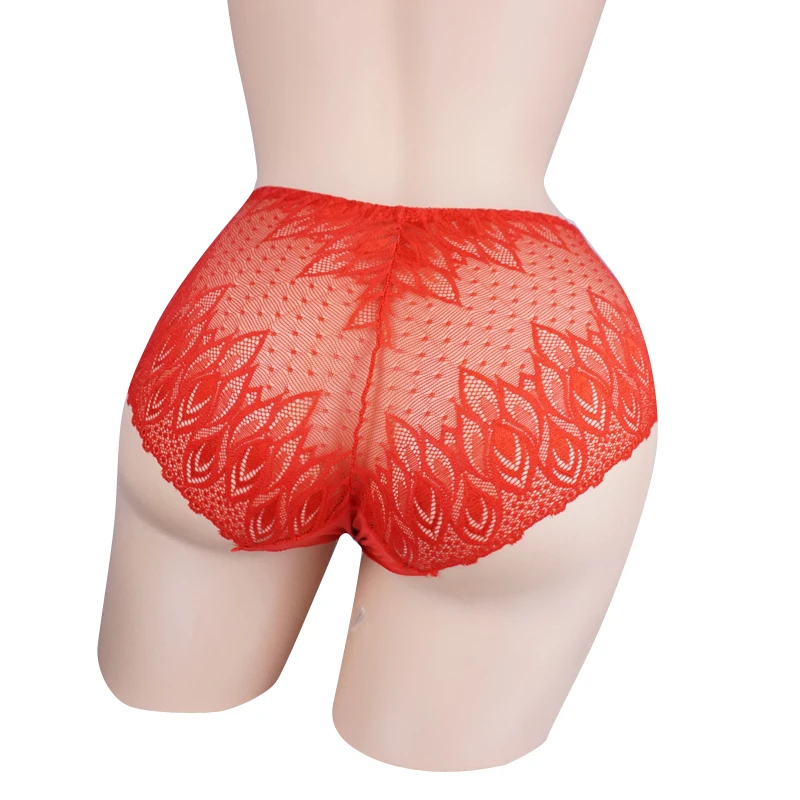 Нижнее белье мужское прозрачные кружевные трусы с рукавами для пениса