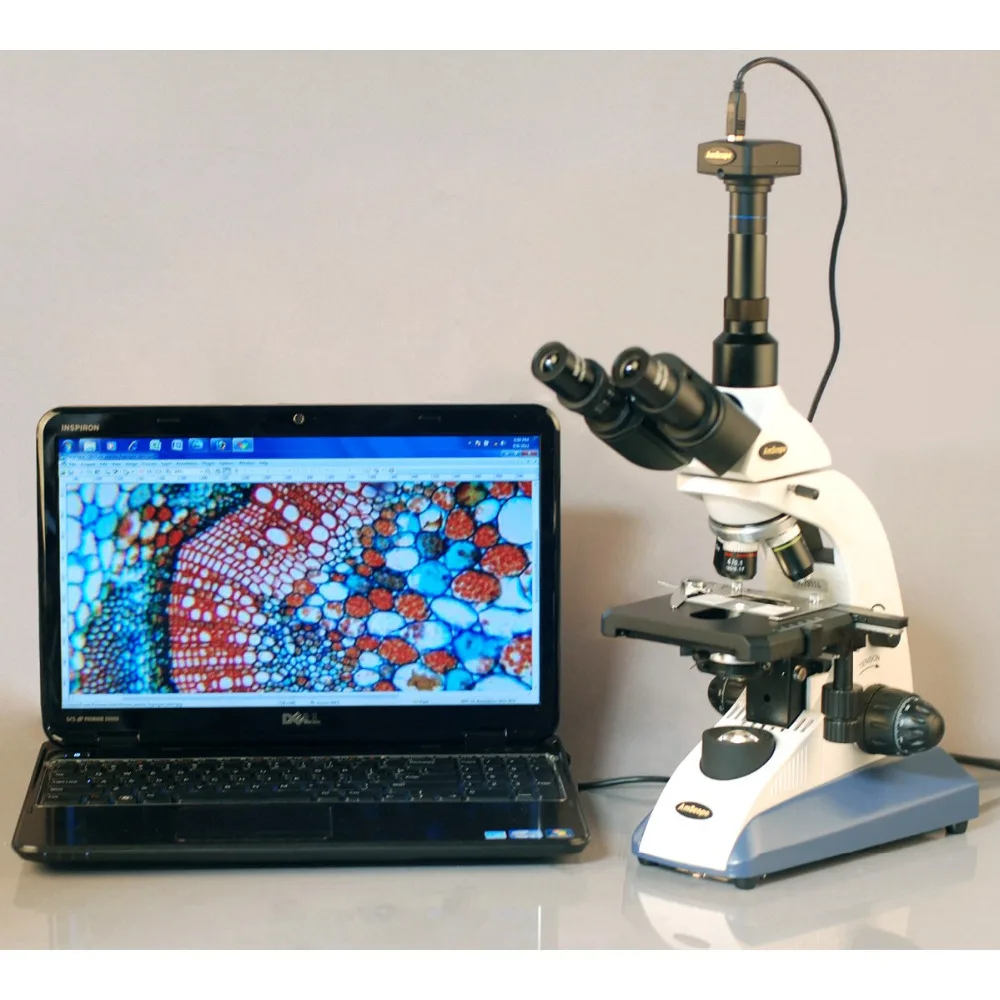 Ветеринарный доктор Биологический микроскоп AmScope Supply 40X 1600X ветеринарный