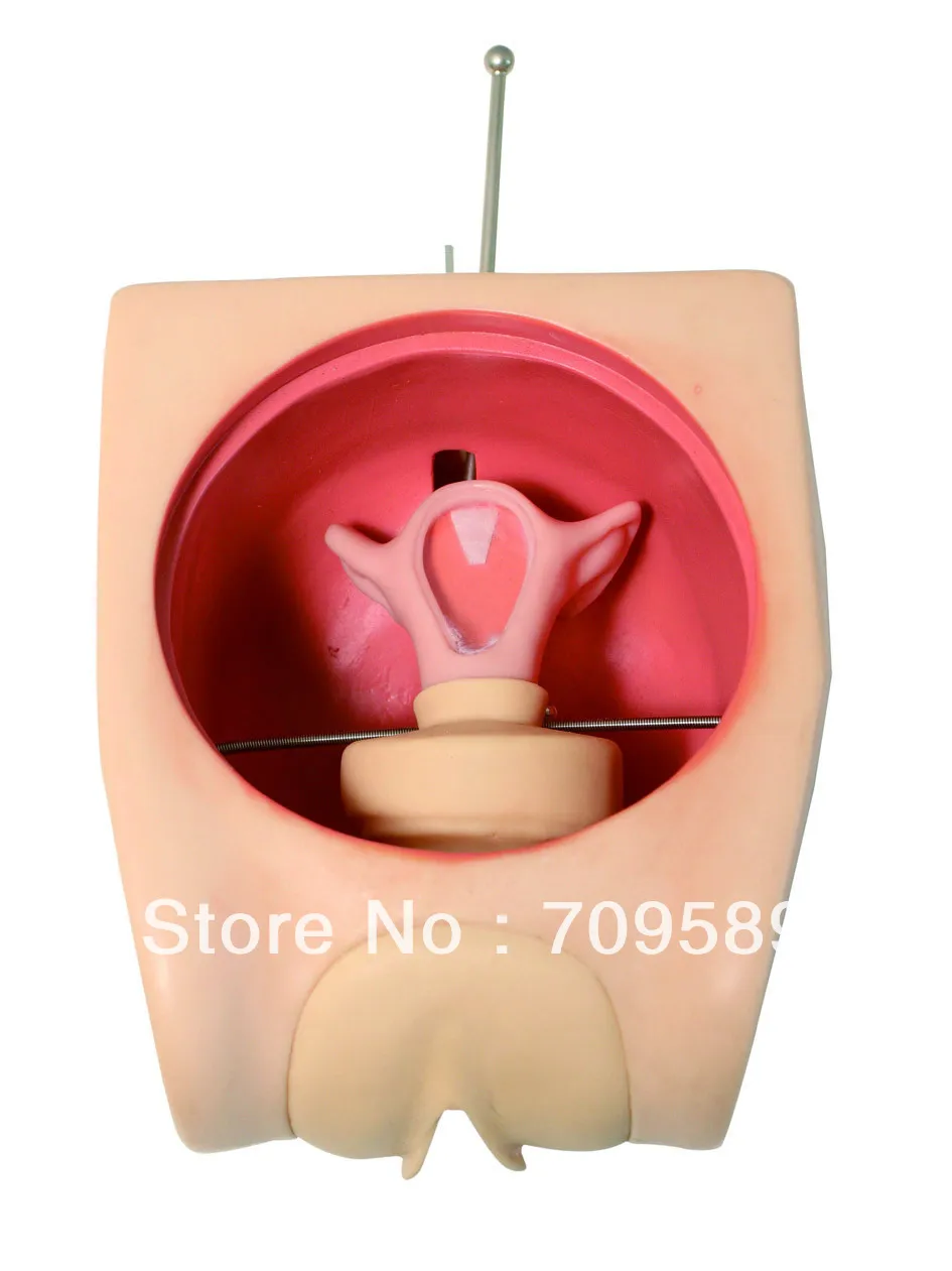 Усовершенствованная модель по стандарту ISO для контроля родов обучающая