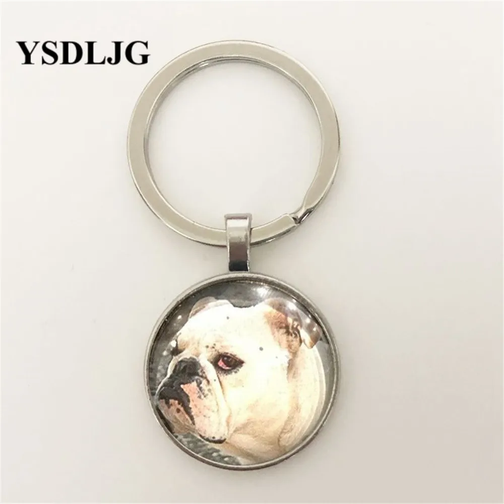 Ключ к сердцу бульдога! Стеклянный купол подвеска и цепь 100% подарок на