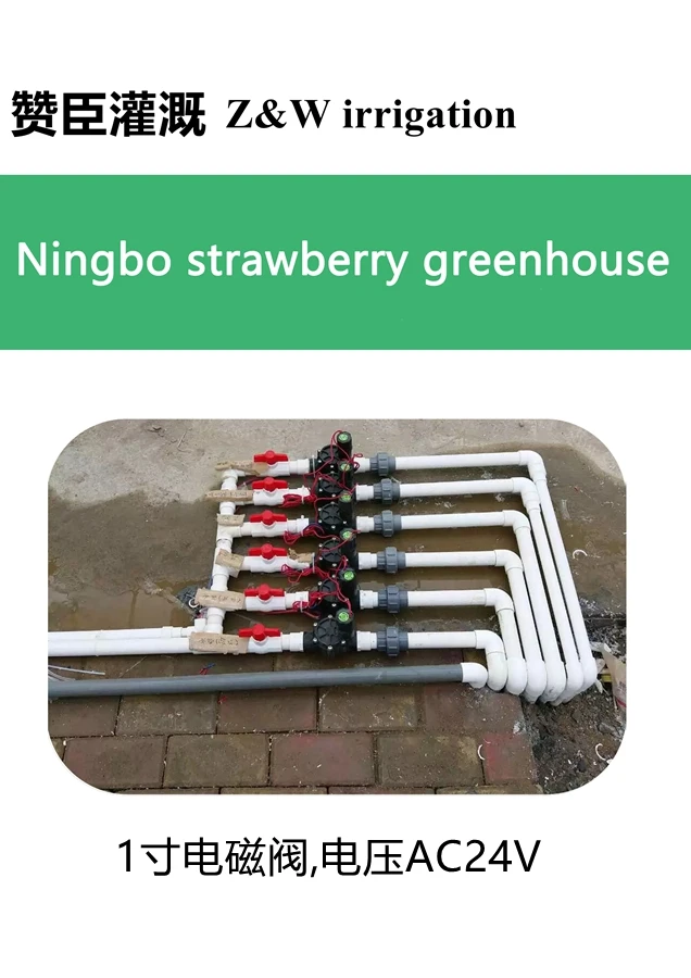 Автоматическая Встроенная система разбрызгивания газона Z &amp W 3/4 дюйма клапан