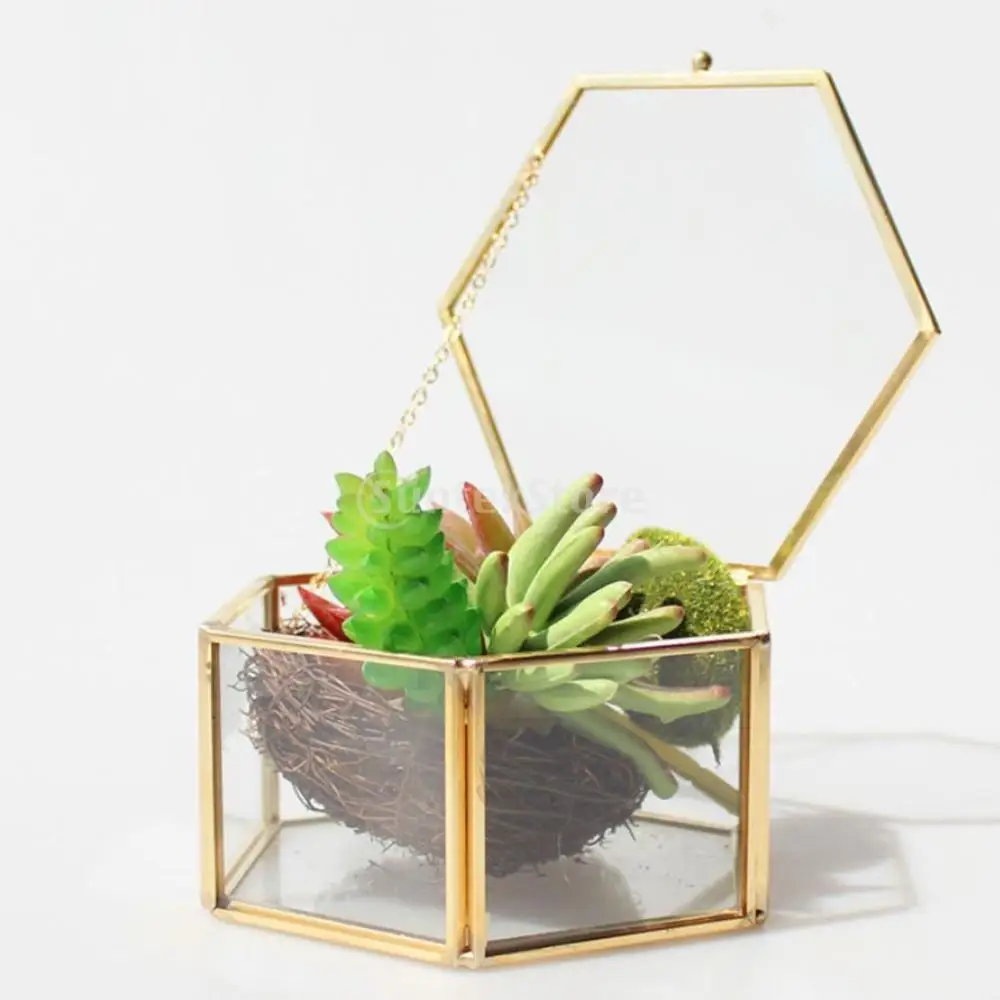 

Modern Hexagon Clear Glass Brass Geometric Terrarium Fern Moss Air Plant Display Case Art Home Garden Decor