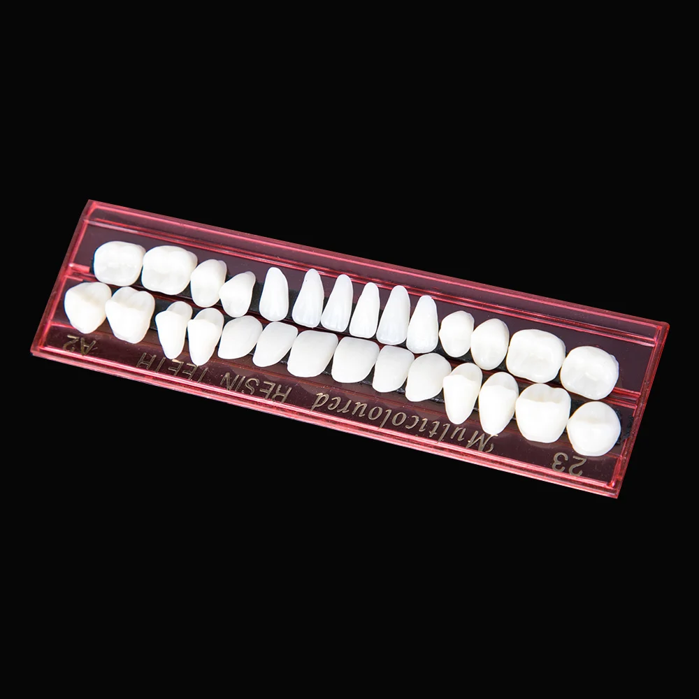 Высокое качество 28 шт./компл. смолы модели зубные Стоматологические прочные