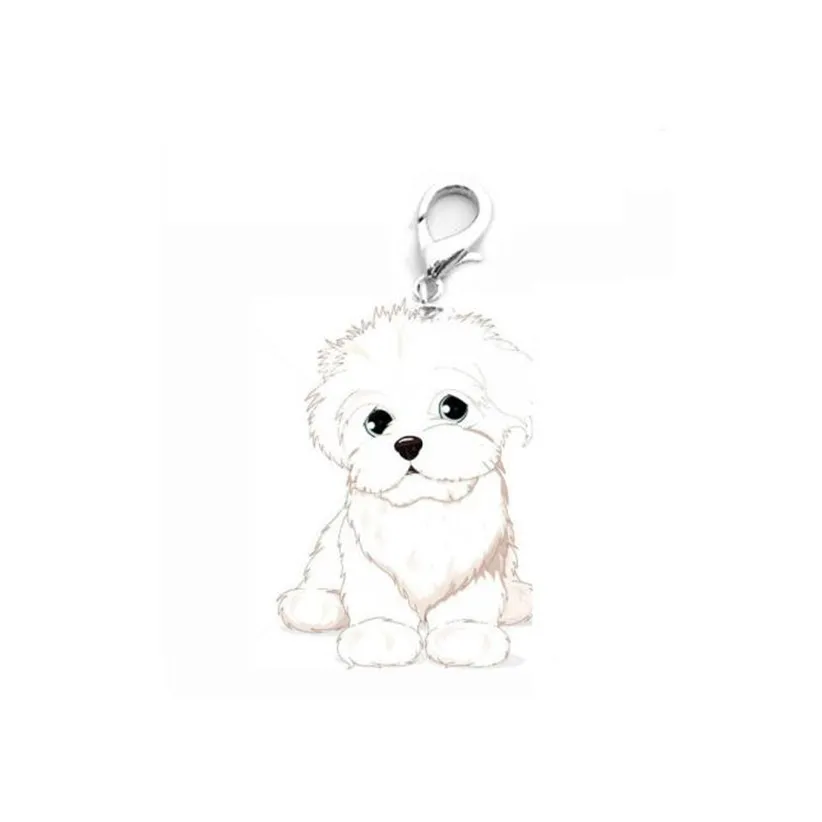 Дешевые Бишон Фриз собака ID тег 80710 - Цвет: dog products