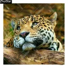 Полноразмерная Алмазная 5D картина 