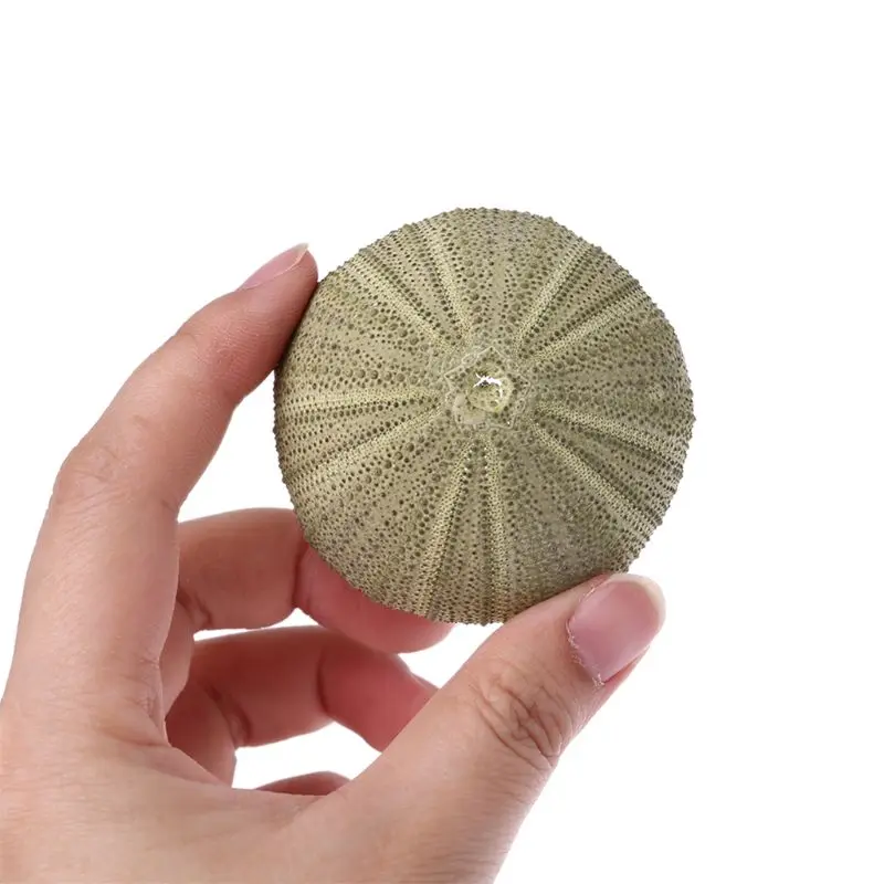 1 шт. натуральное украшение для аквариума | Дом и сад