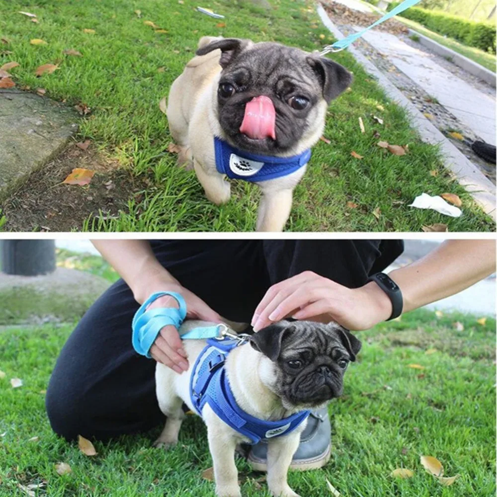 Поводок и поводок для собак светоотражающий котенок щенок куртка собаки