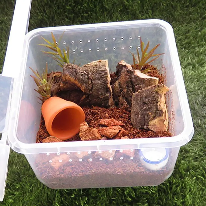 Террариум для рептилий кормушка разведения черепаха паук ящерица жук домик