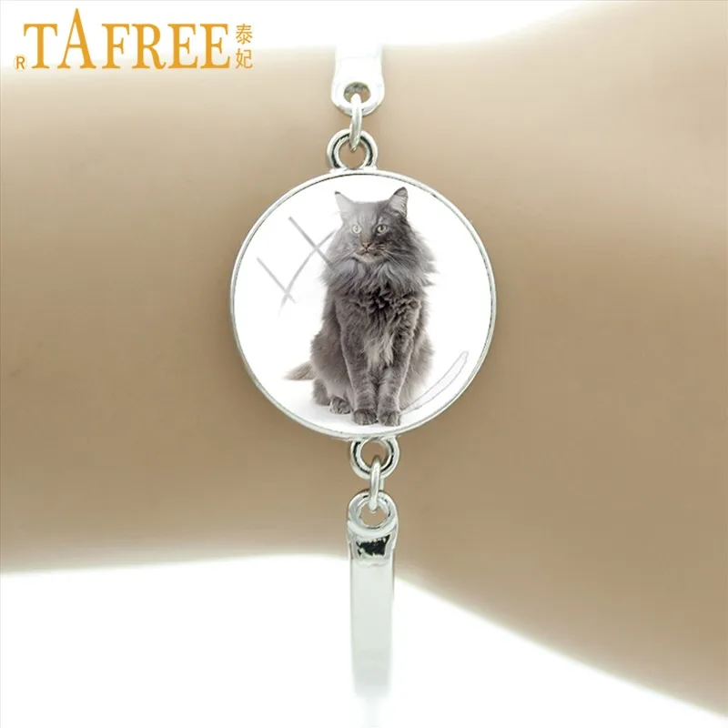 TAFREE Необычные интересные котенок кошка Шарм браслет милые женские Девушки Ювелирные изделия кошка подарки для любимых мода милые животные bijoux E790 - Окраска металла: E799