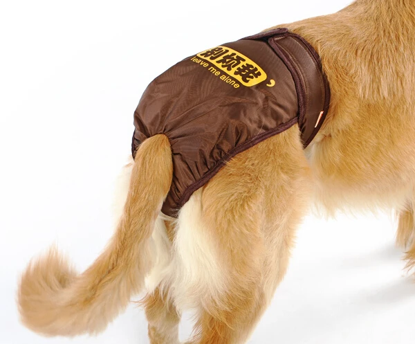 1 шт. модные менструальные брюки для больших собак Размеры S M L|dog physiological pants|dog