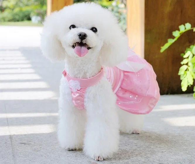 Y07 Wedding Dog Dress Pets Dogs Clothes Sweaty Puppy dog Cats Princess Bowknot Floral Tutu Skirt Costume for Yorkshir | Дом и сад