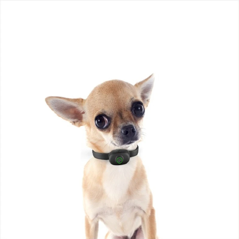 Новый ошейник для собак автоматический с защитой от кора водонепроницаемый