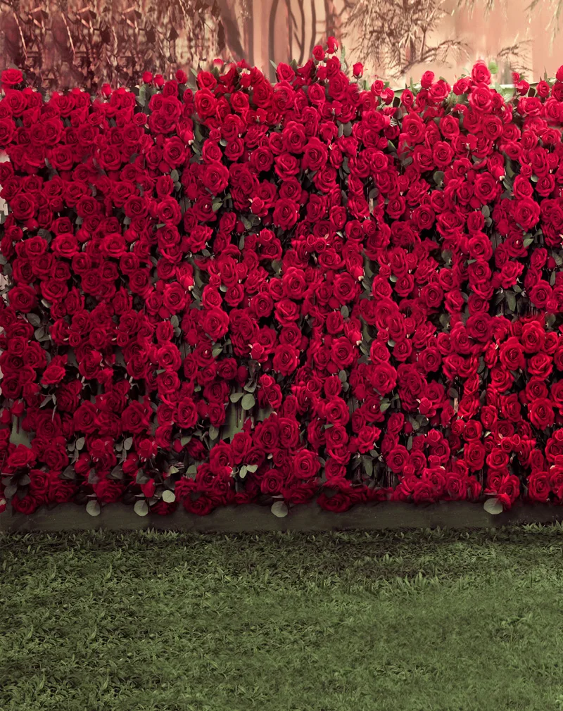VinylBDS 10X10FT свадебные фоны для фотосъемки с красными розами зелеными лугами