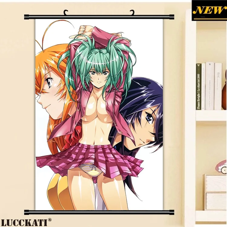 40X60 см Ikkitousen battale Vixens Shiozaki Yuji серия квитанция мультфильм аниме Настенная картина прокрутки холст живопись плакат - Цвет: M