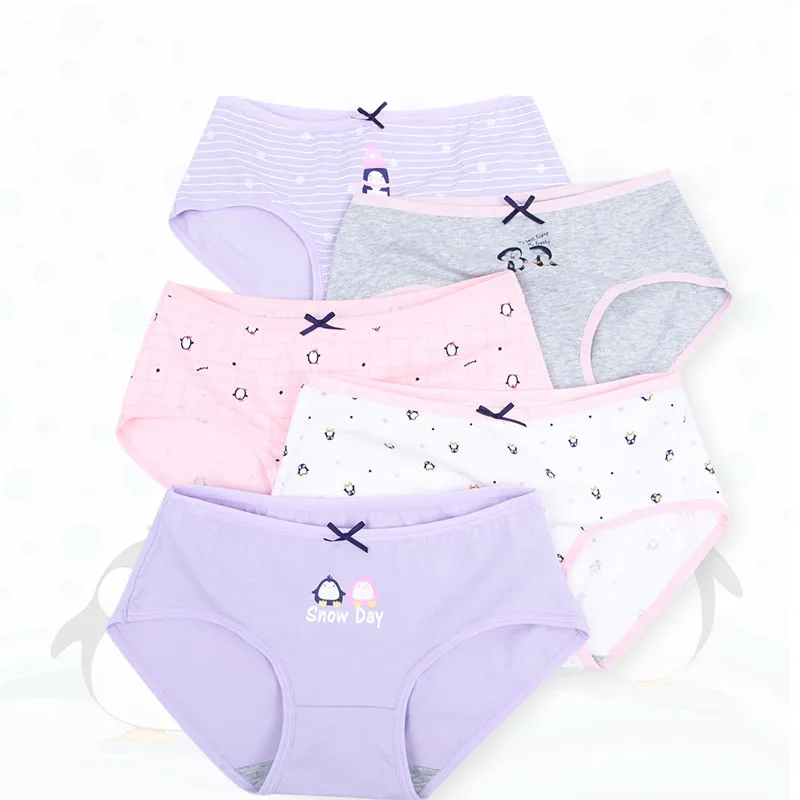 Feilibin 5Pcs/lot Women Panties Sexy Cotton Underwear Cute Printed Plus Size Briefs Breathable Grils Underpants Female lingerie | Женская