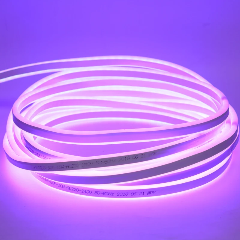 Neon Lights RGB LED Strip Flexible 220V SMD5050 Strips Lights Waterproof Outdoor Lighting
