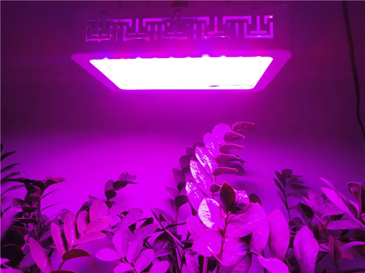 Светодиодный светильник полного спектра для выращивания растений 100 Вт R + B W O UV IR