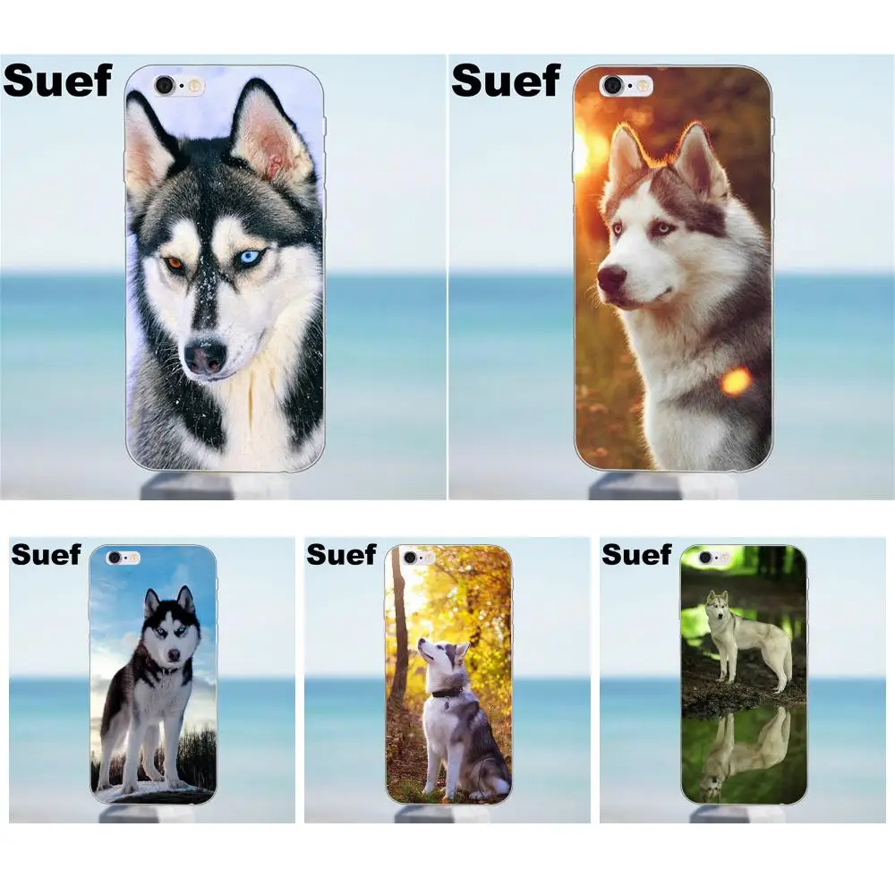 Для iPhone X 4 4S 5 5S 5C SE 6 6S 7 8 Plus Galaxy J1 J3 J5 J7 A3 A5 2016 2017 мягкий термополиуретановый узор для