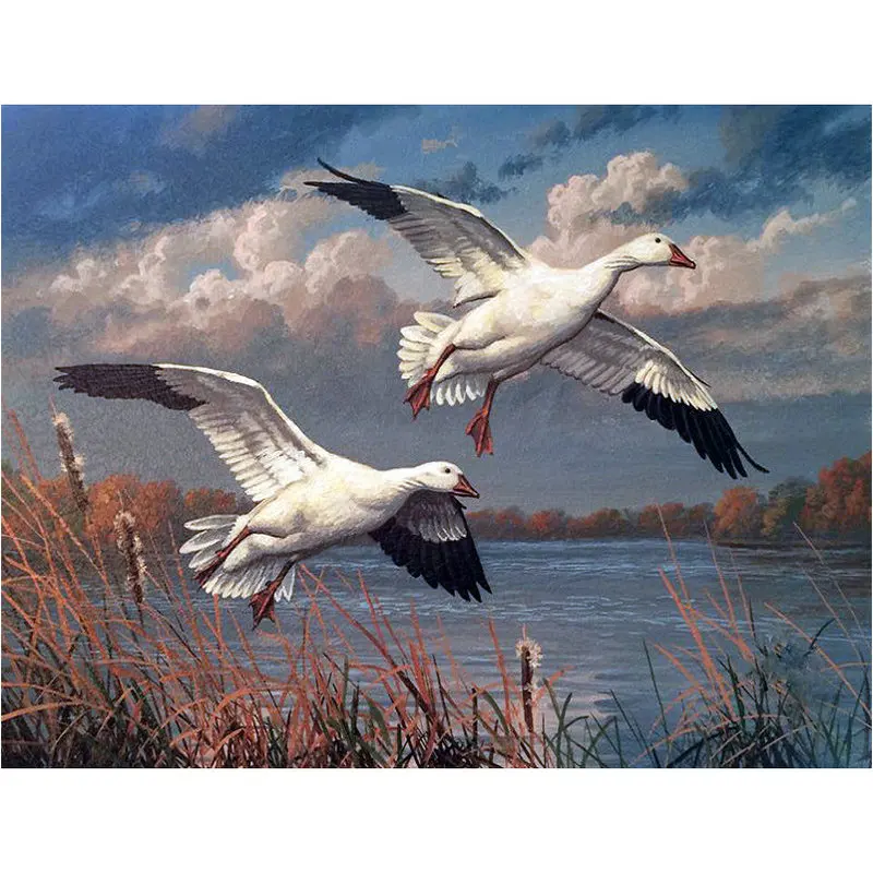 Diamond art DIY 5D diamond Painting Cross Stitch Animal swan Needlework Mosaic embroidery picture Home Decor | Дом и сад