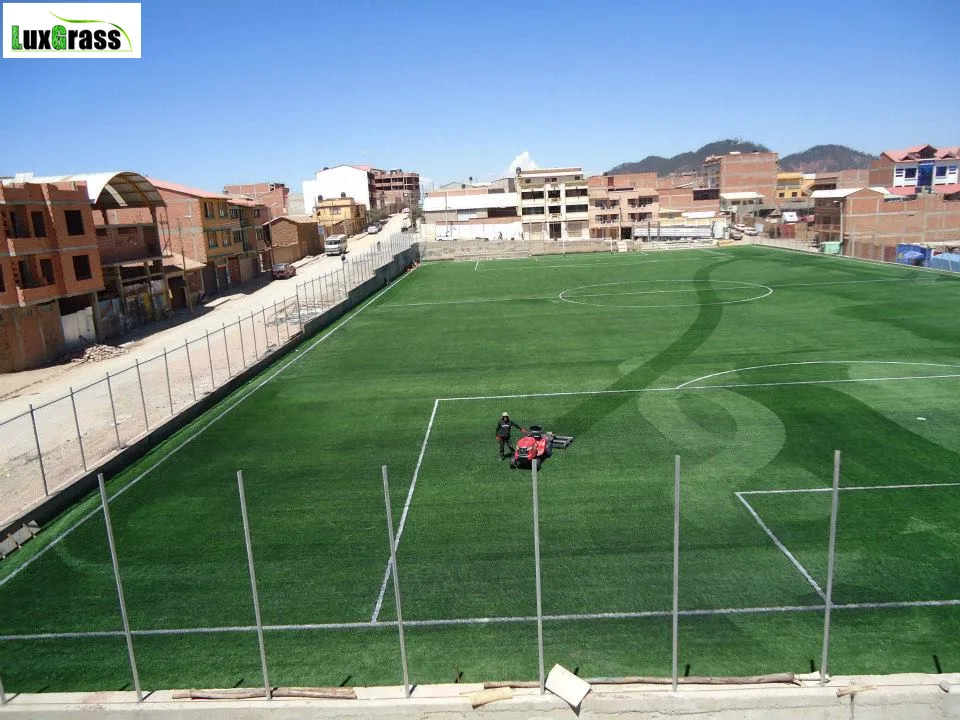 Газон для футбола|grass|grass turfgrass football |
