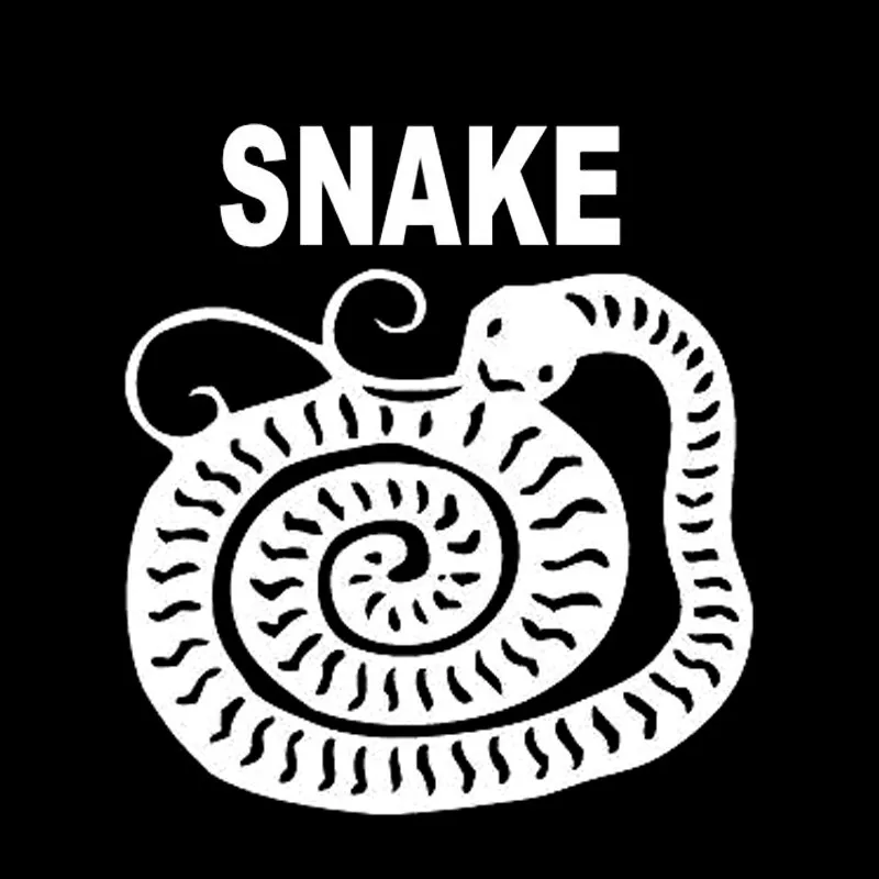 Змеиная Мода животное для Авто/бампер/окно виниловая наклейка наклейки DIY Декор