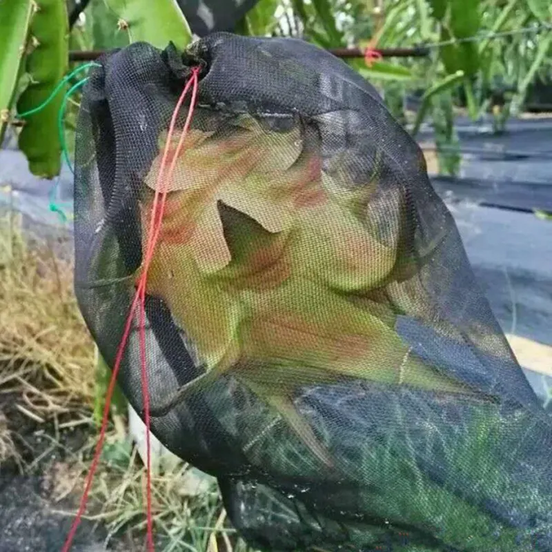 30 шт 40 сетка черная Pitaya Фрукты борьба с вредителями нейлоновая сумка-сетка